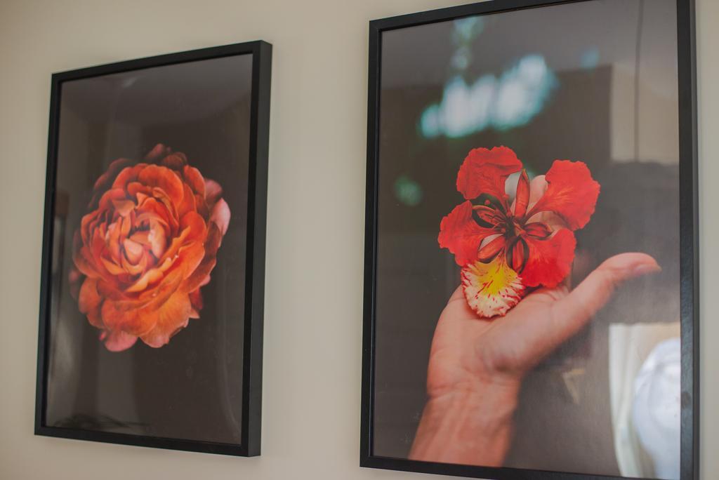 Garden Apartment クラクフ エクステリア 写真
