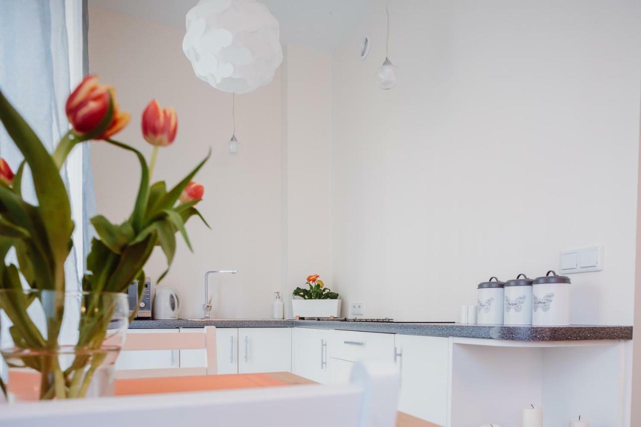 Garden Apartment クラクフ エクステリア 写真