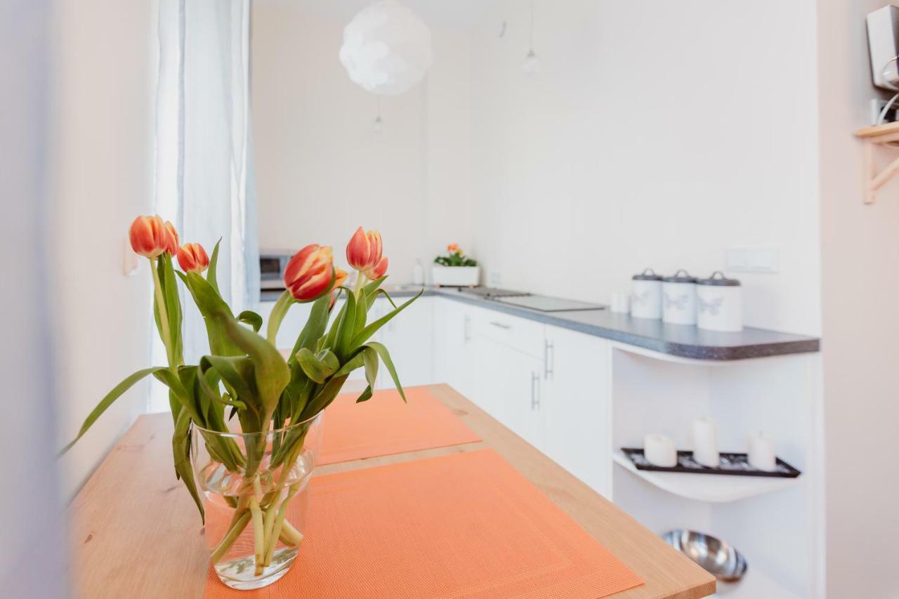 Garden Apartment クラクフ エクステリア 写真